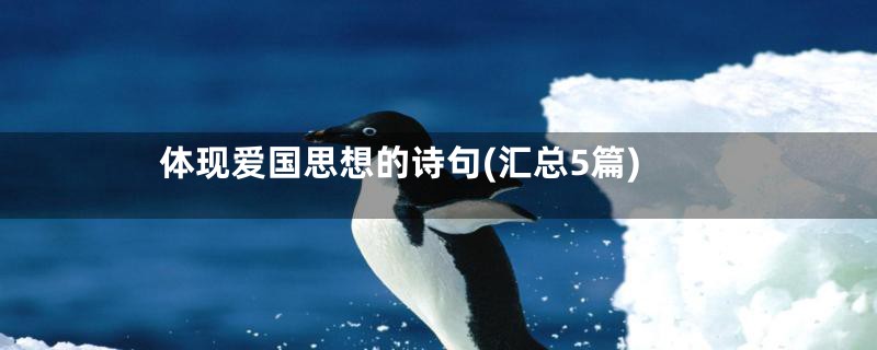 体现爱国思想的诗句(汇总5篇)