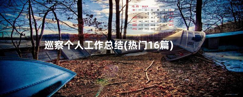 巡察个人工作总结(热门16篇)