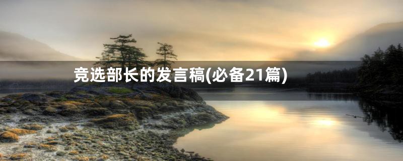 竞选部长的发言稿(必备21篇)