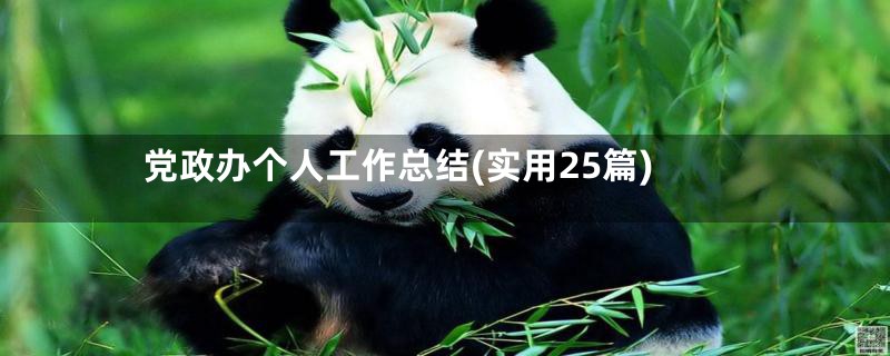 党政办个人工作总结(实用25篇)