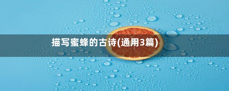 描写蜜蜂的古诗(通用3篇)