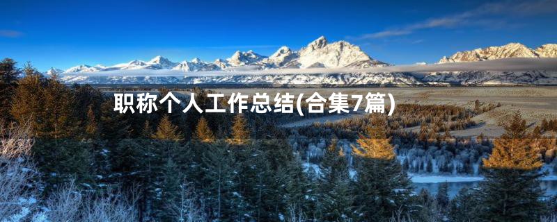 职称个人工作总结(合集7篇)