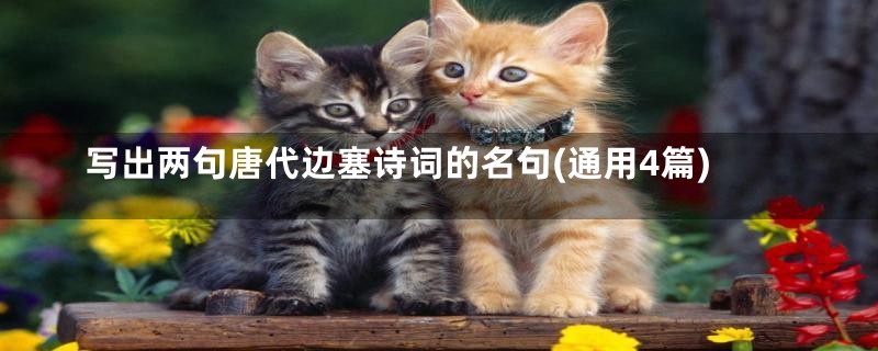 写出两句唐代边塞诗词的名句(通用4篇)