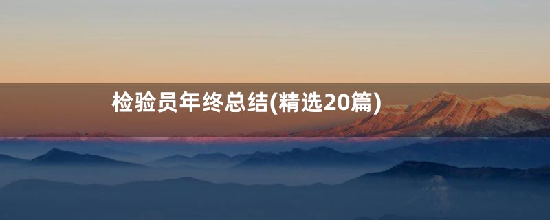 检验员年终总结(精选20篇)