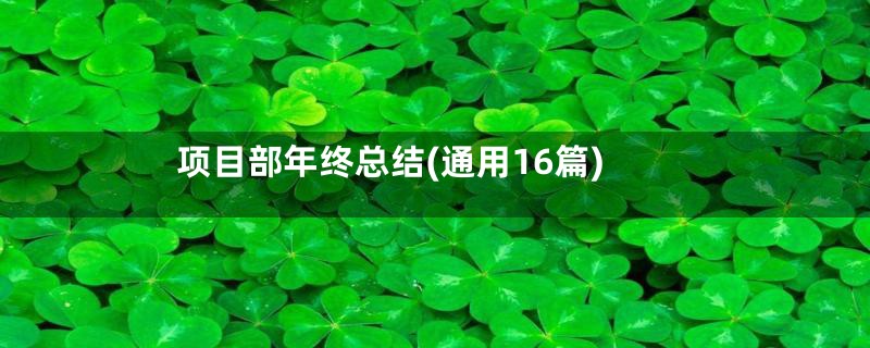 项目部年终总结(通用16篇)