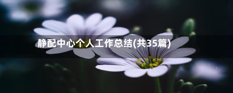 静配中心个人工作总结(共35篇)