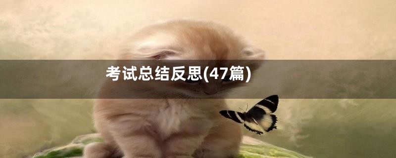 考试总结反思(47篇)