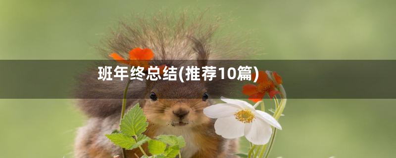 班年终总结(推荐10篇)