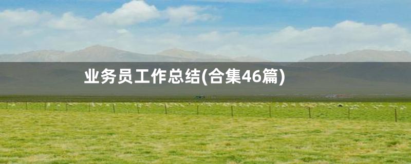 业务员工作总结(合集46篇)