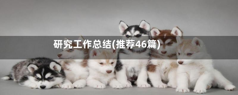 研究工作总结(推荐46篇)