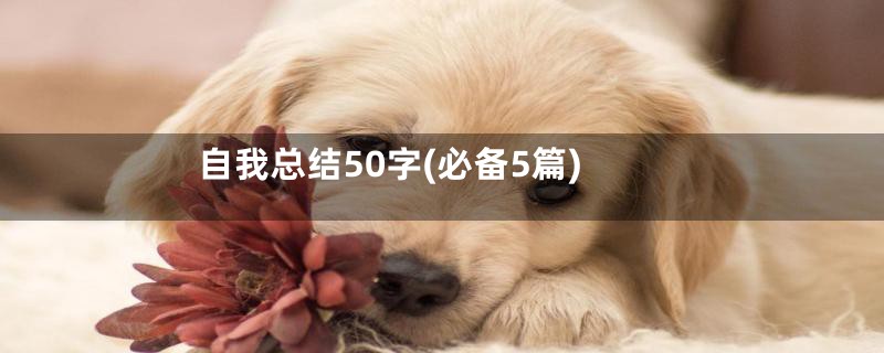 自我总结50字(必备5篇)