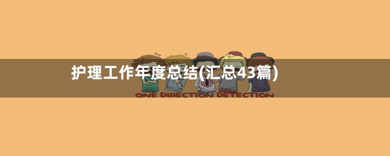 护理工作年度总结(汇总43篇)