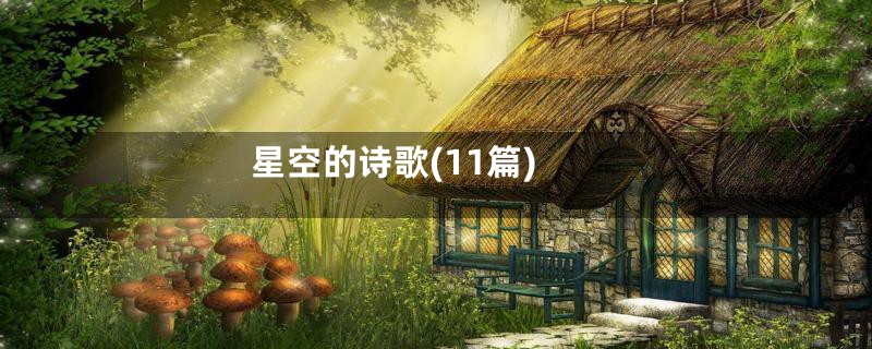 星空的诗歌(11篇)