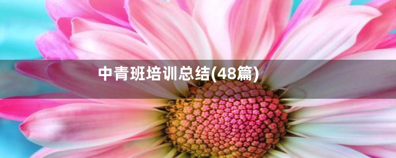 中青班培训总结(48篇)