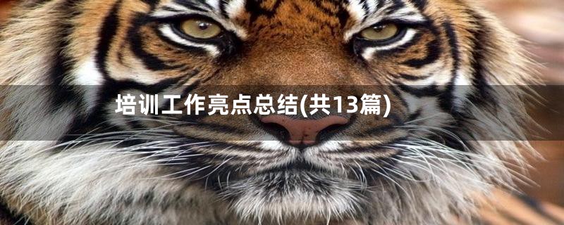 培训工作亮点总结(共13篇)