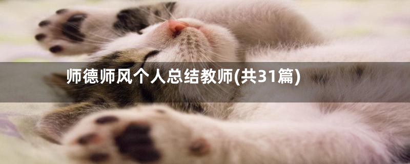 师德师风个人总结教师(共31篇)