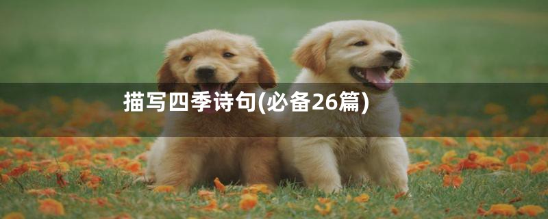 描写四季诗句(必备26篇)