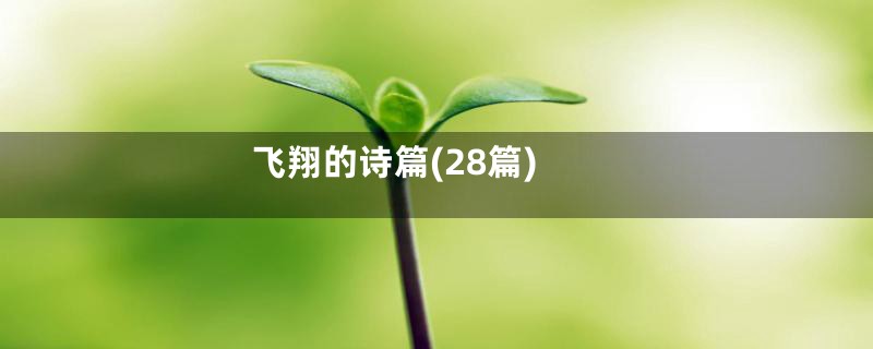 飞翔的诗篇(28篇)