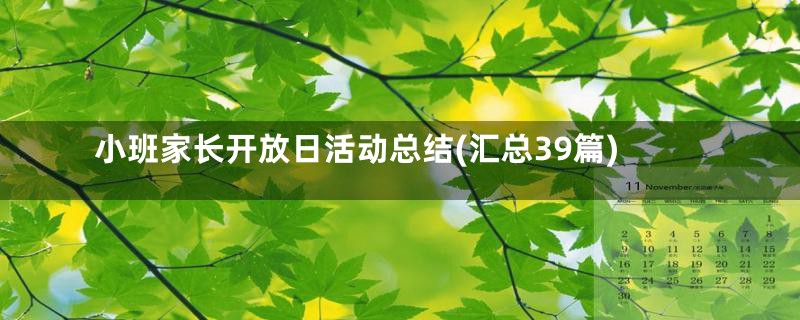 小班家长开放日活动总结(汇总39篇)