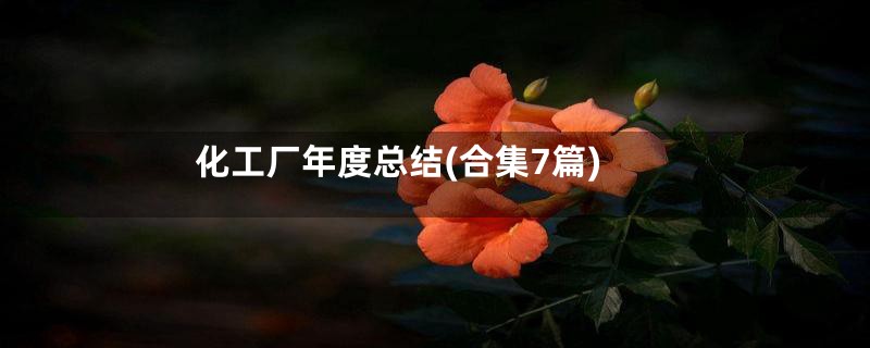 化工厂年度总结(合集7篇)
