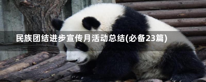 民族团结进步宣传月活动总结(必备23篇)