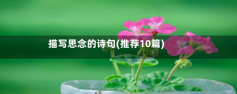 描写思念的诗句(推荐10篇)