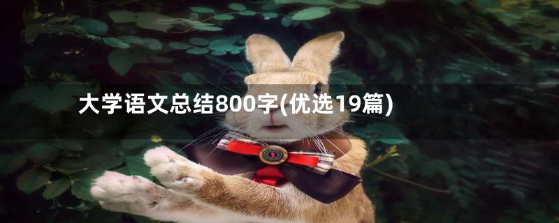 大学语文总结800字(优选19篇)