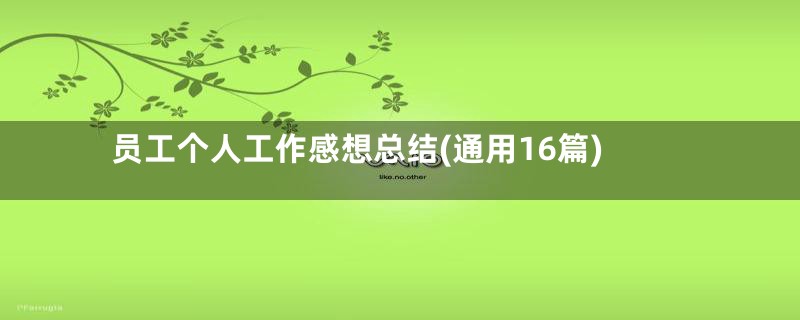 员工个人工作感想总结(通用16篇)