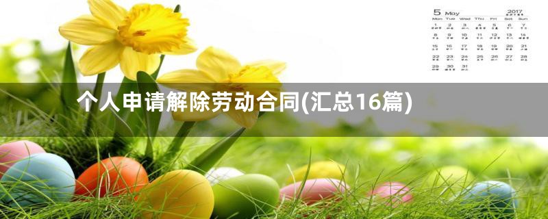 个人申请解除劳动合同(汇总16篇)