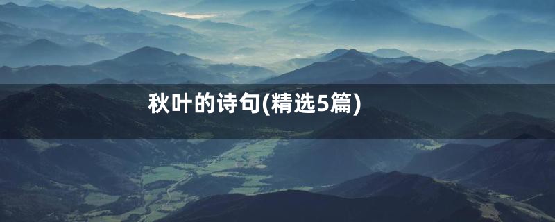 秋叶的诗句(精选5篇)
