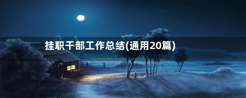 挂职干部工作总结(通用20篇)