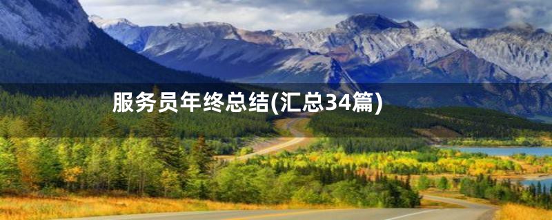 服务员年终总结(汇总34篇)